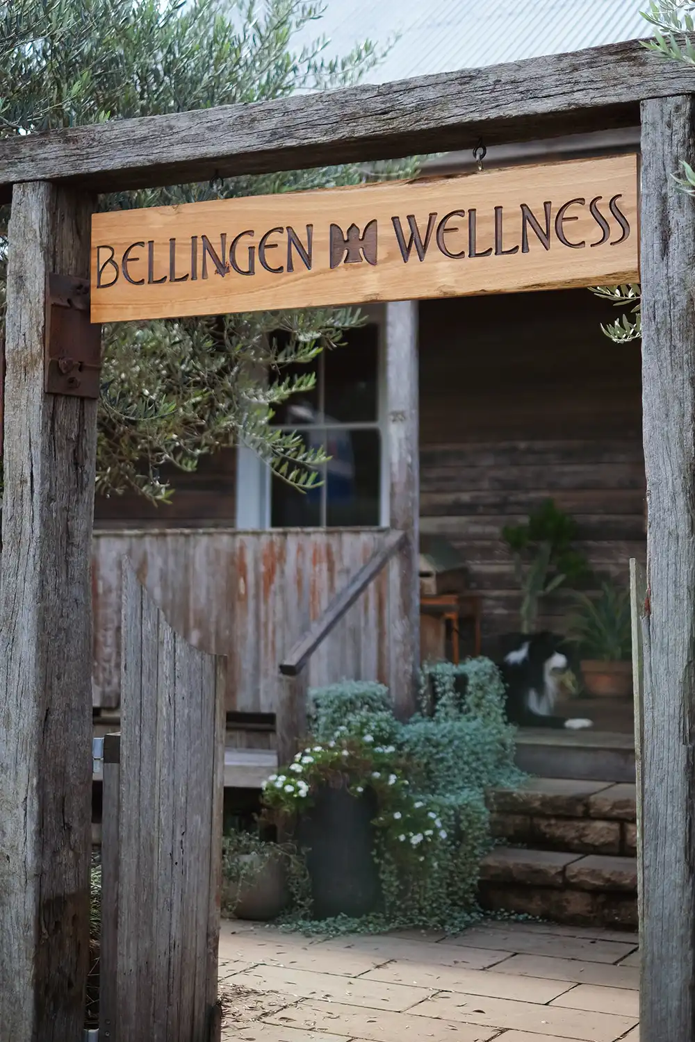 Bellingen Wellness 5